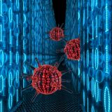 Virus mit Zahlen, Computergrafik